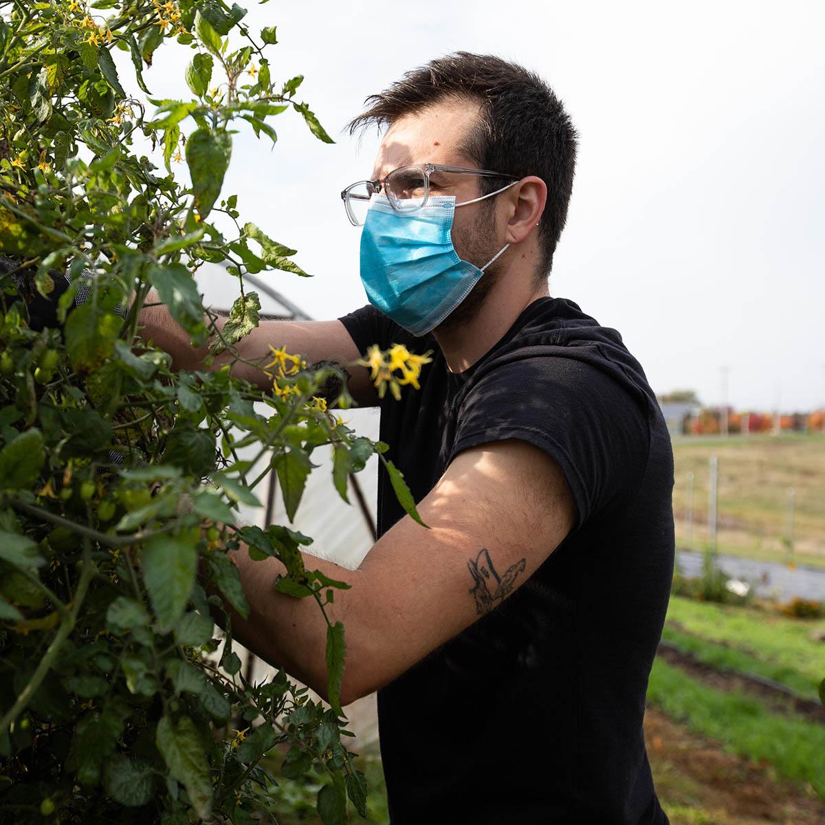 Photo of a male student in glasses and a mask working in the agroecology garden